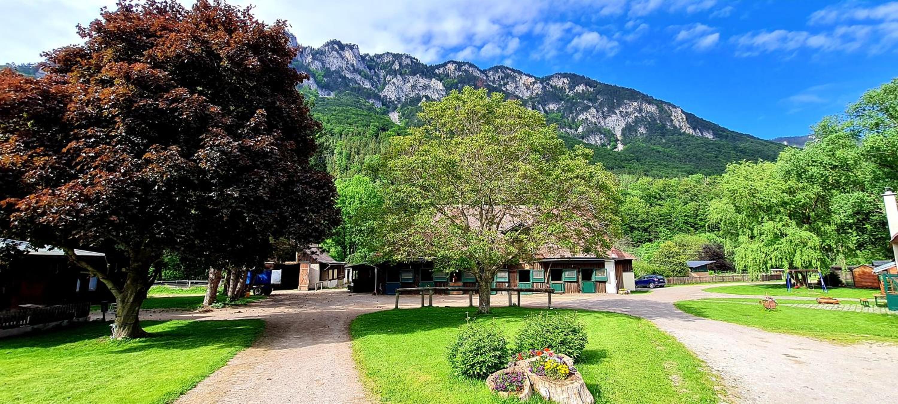 Mühle in der Pferdewelt Reichenau