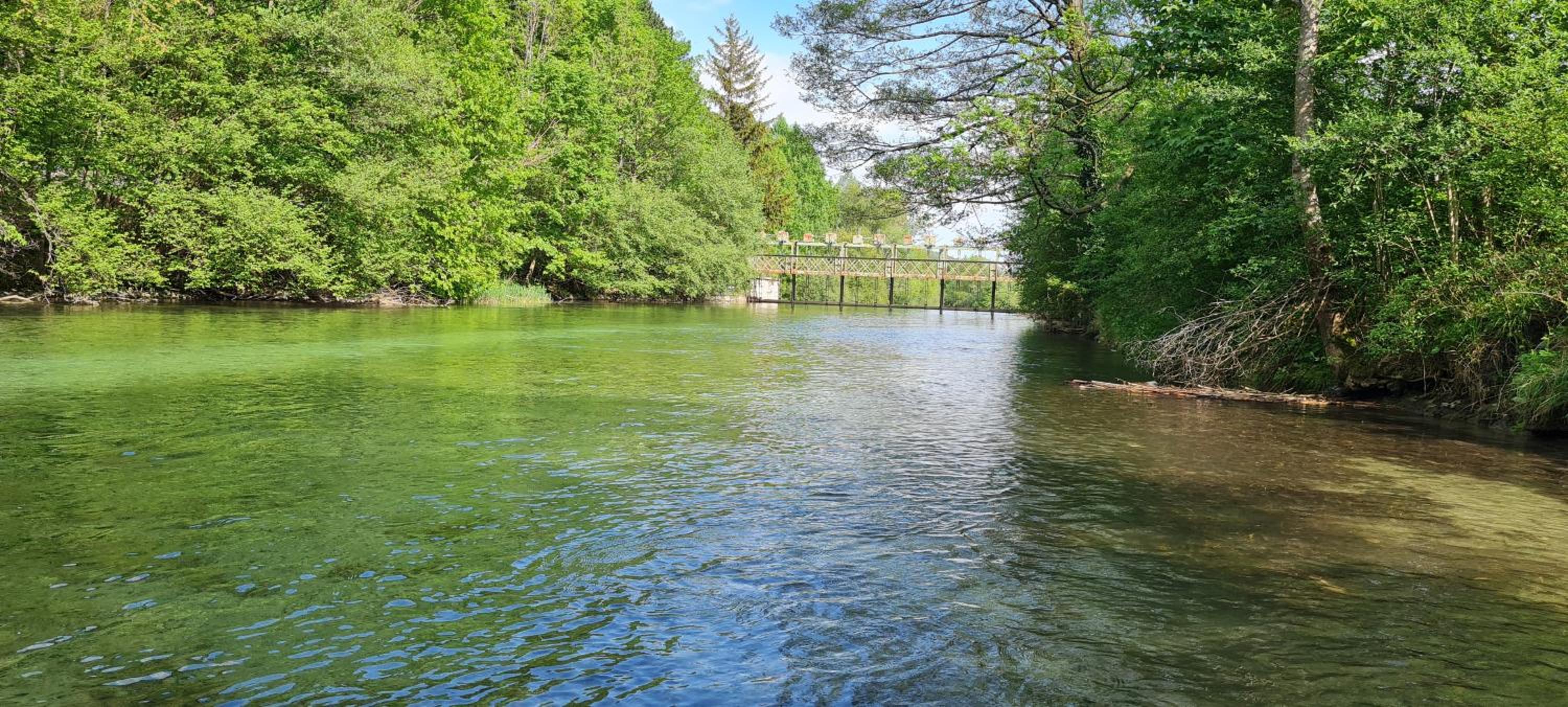 Mühle in der Pferdewelt Reichenau