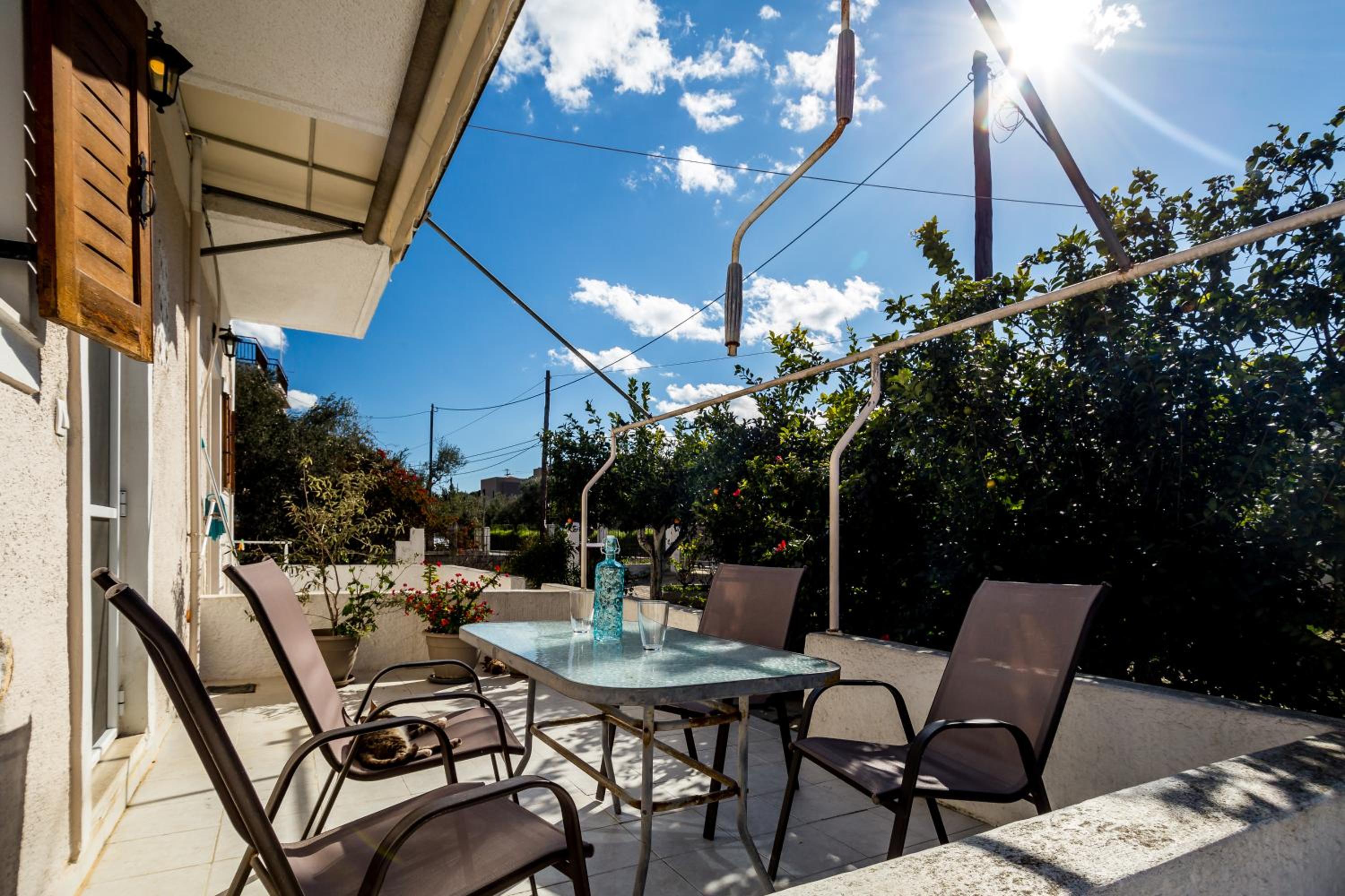 Sunny Sofi Studios photo 4