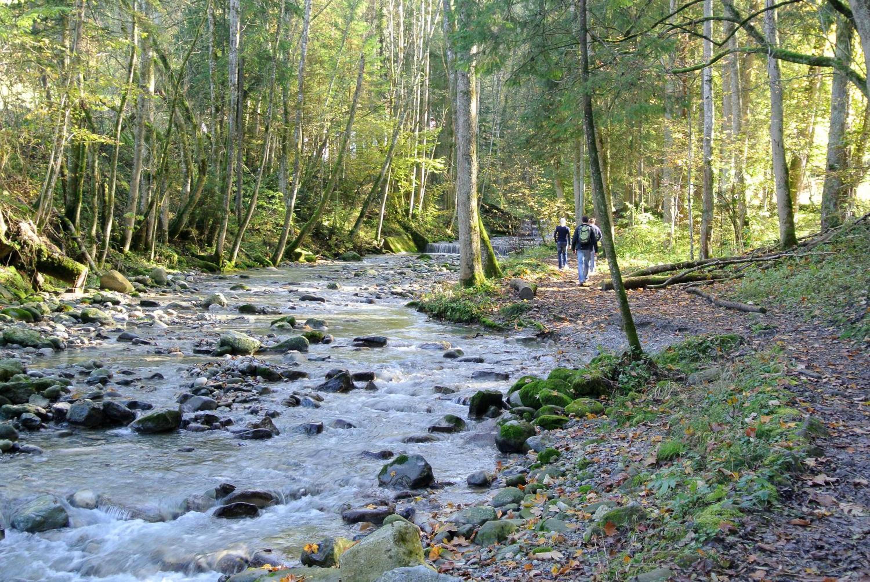 Ferienhaus Weiler im Allgäu