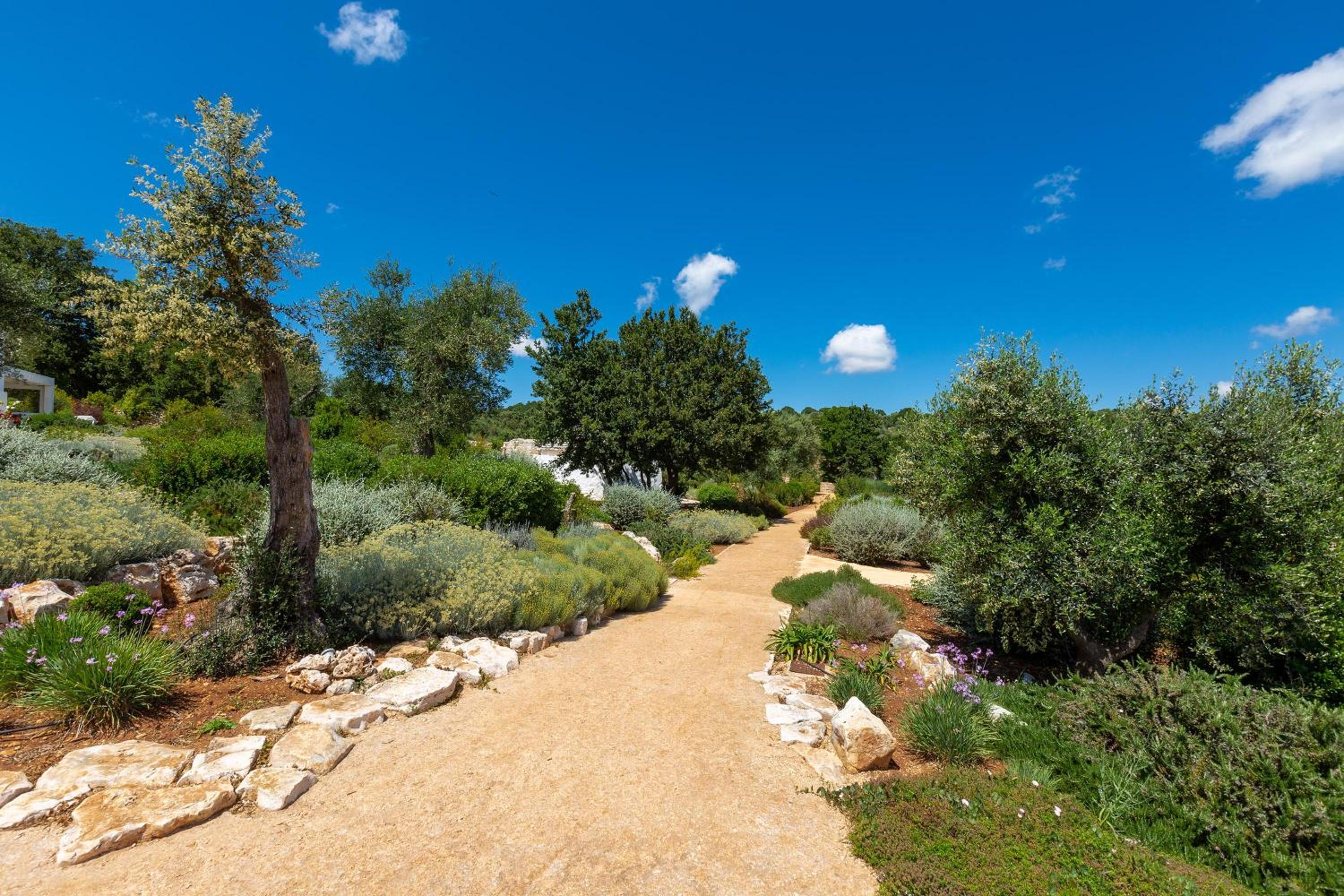 Le Ali Bianche by Perle di Puglia