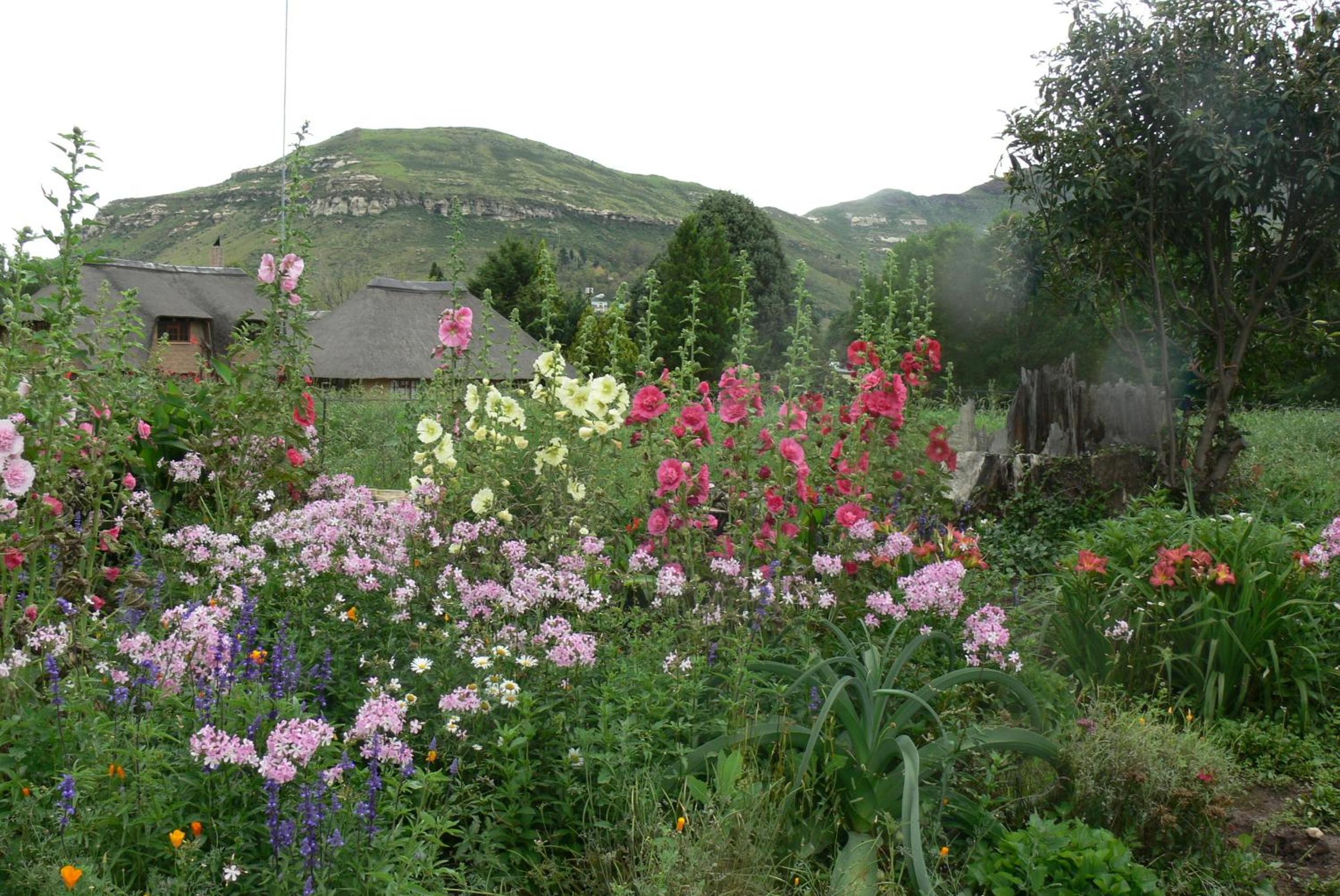 Photo 20