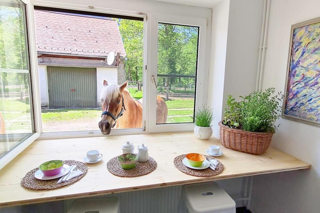 Cosy Family Apartment