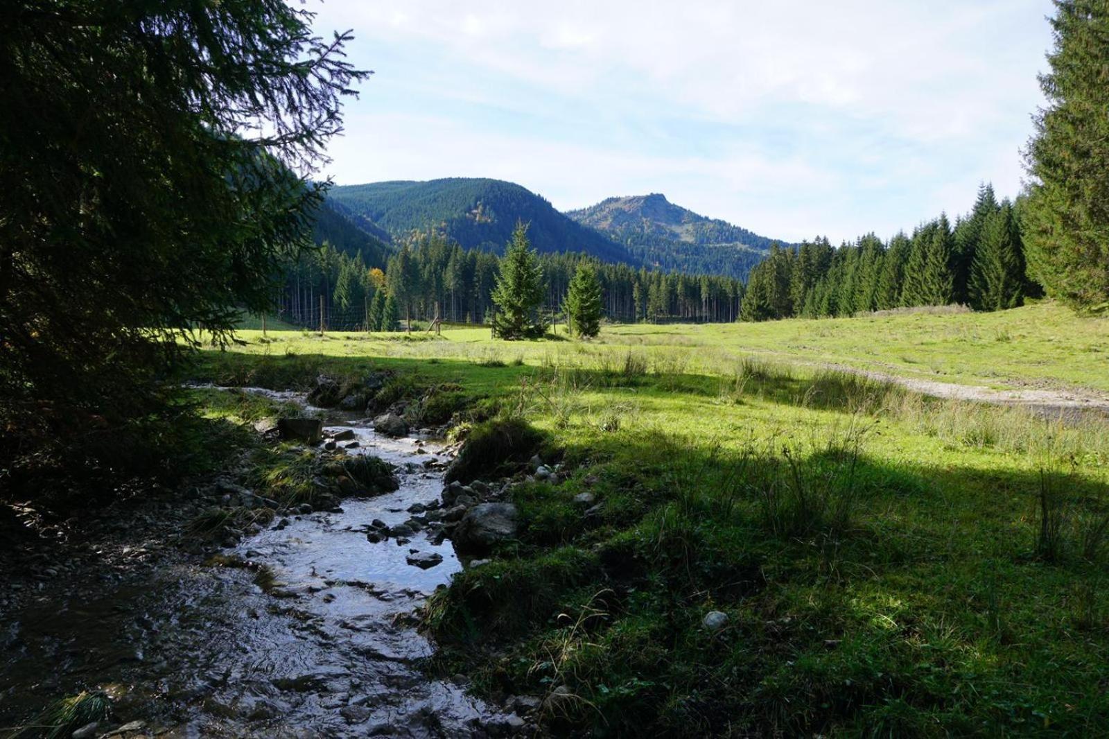 Guffertblick
