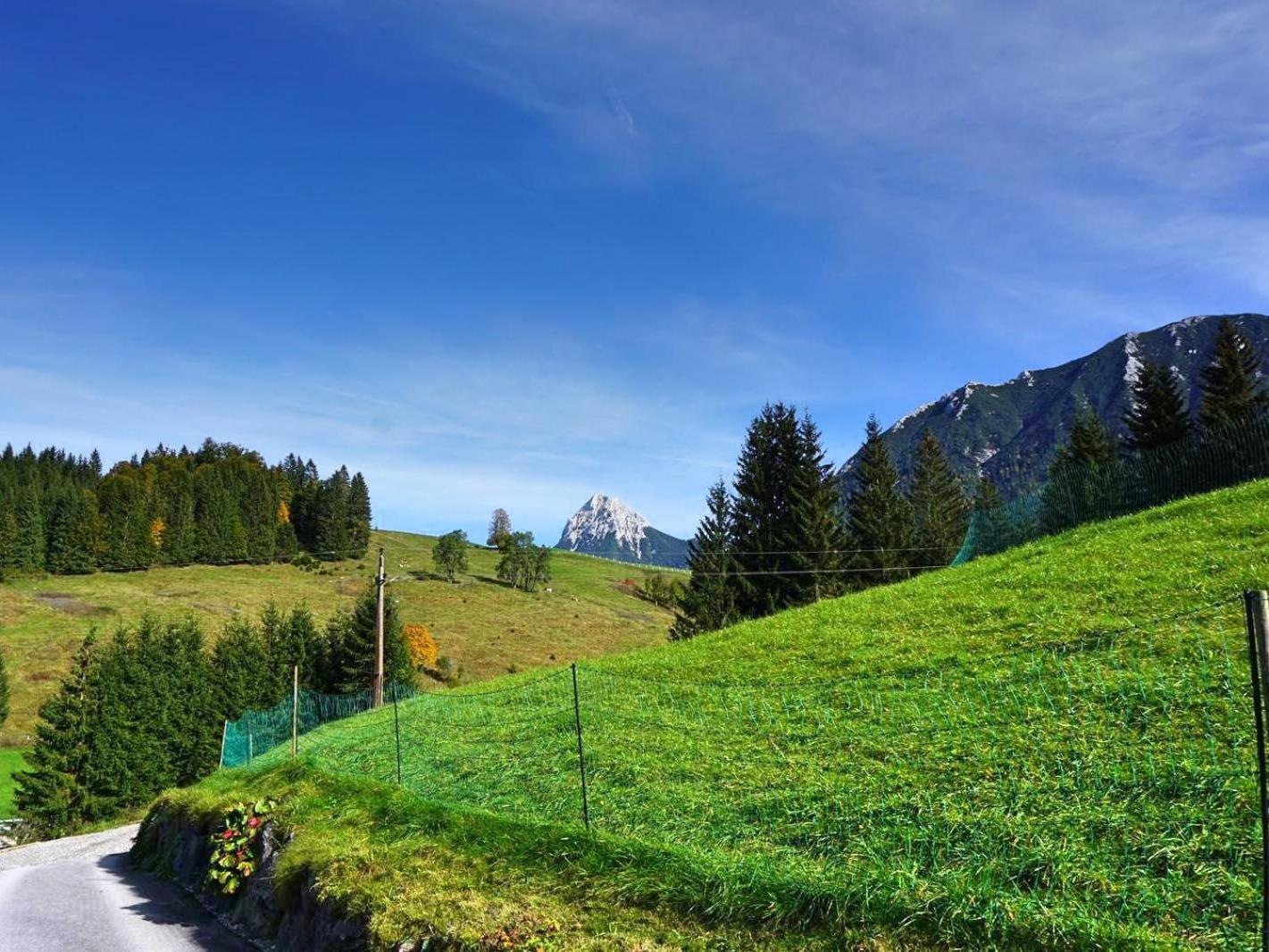 Guffertblick