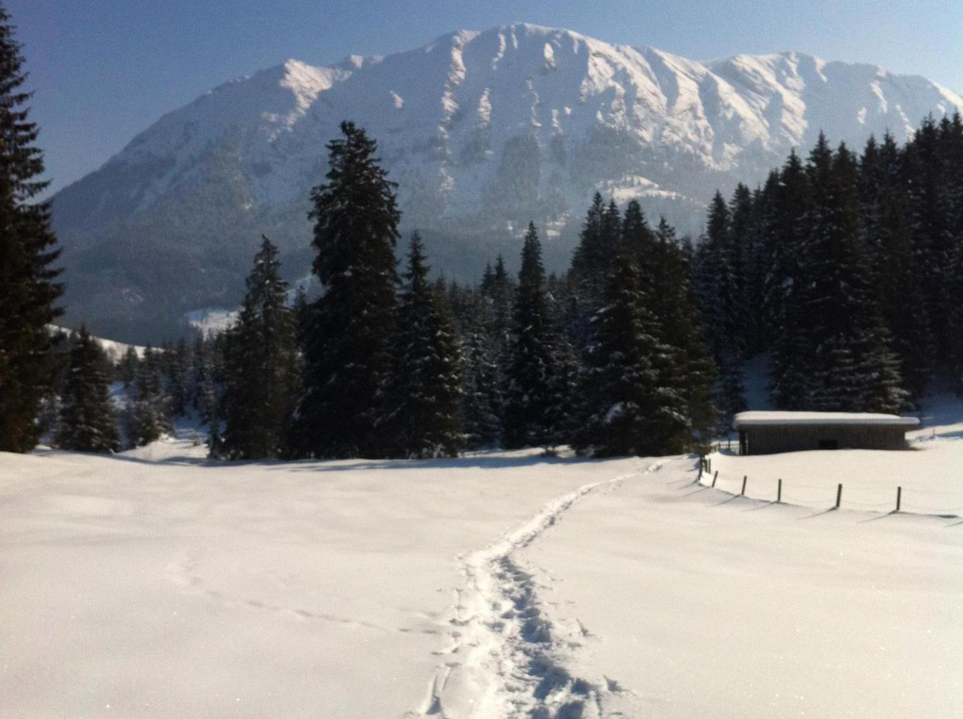 Guffertblick