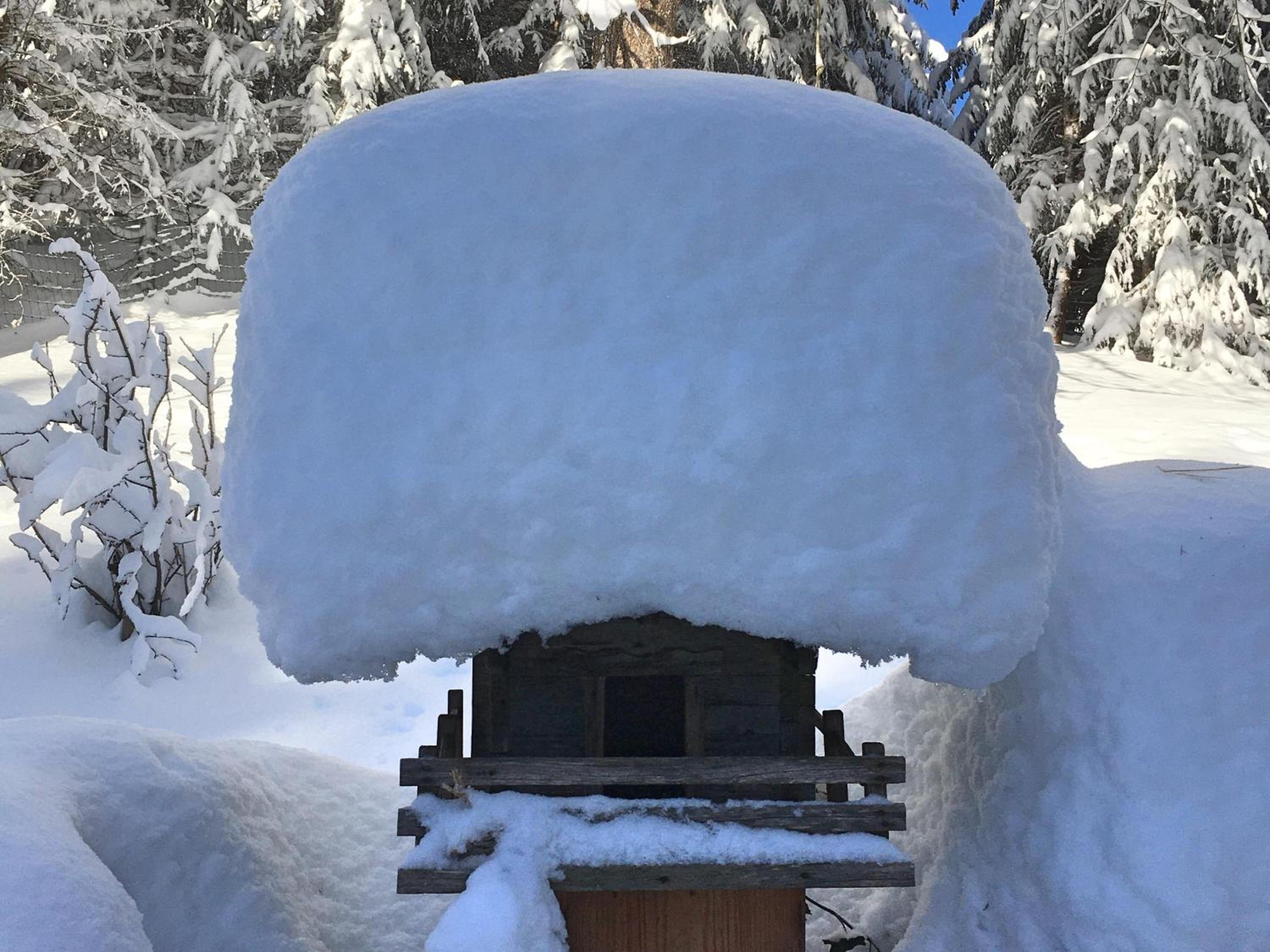 Guffertblick