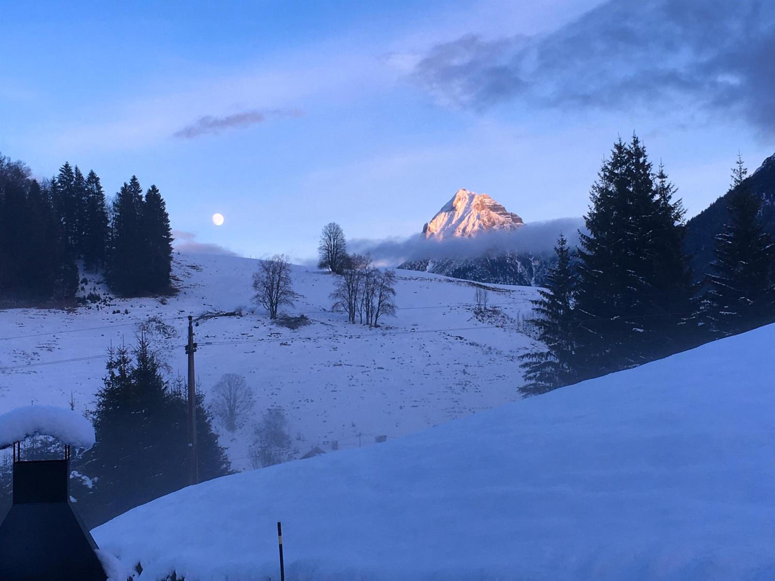 Guffertblick