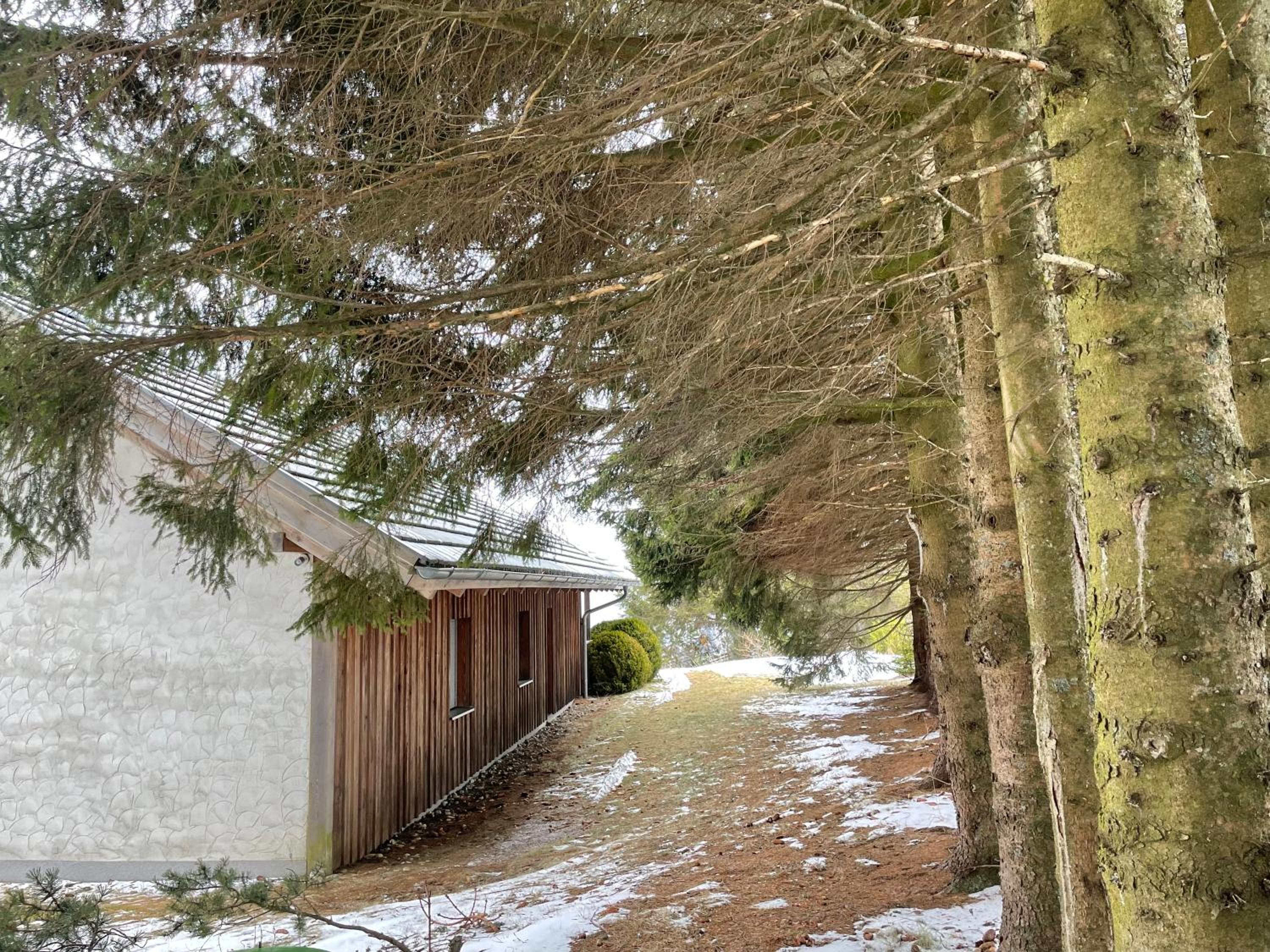 Teichalm Lodge Landhaus
