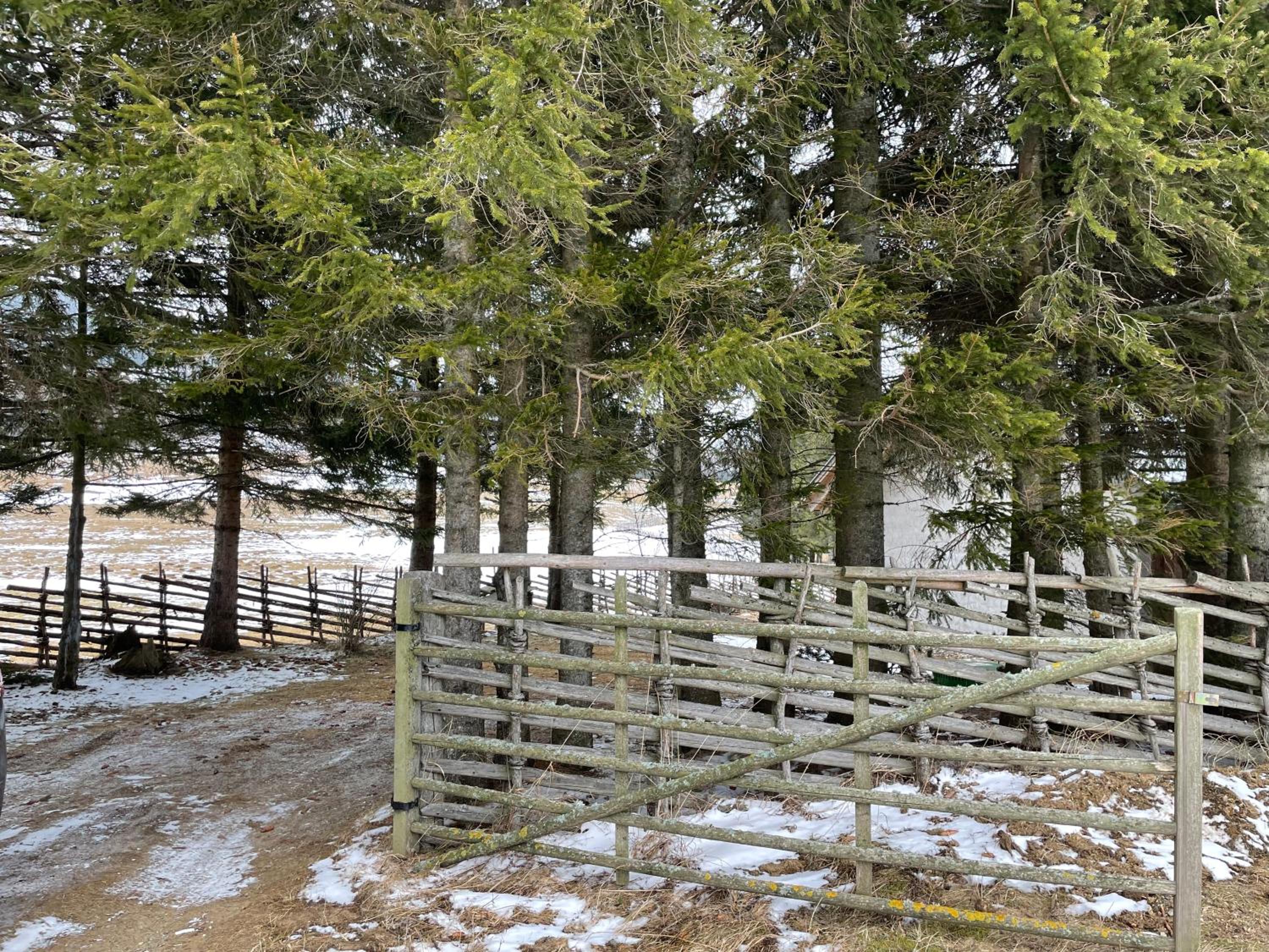 Teichalm Lodge Landhaus