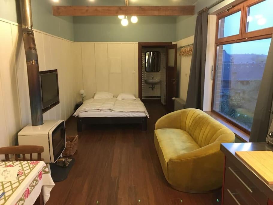 ziggy's room with a view