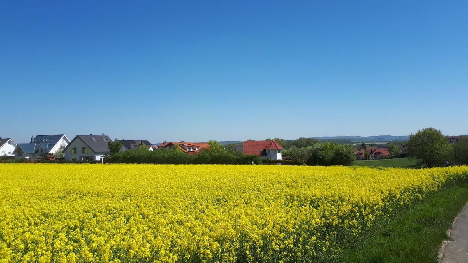 Apartments im Taunus