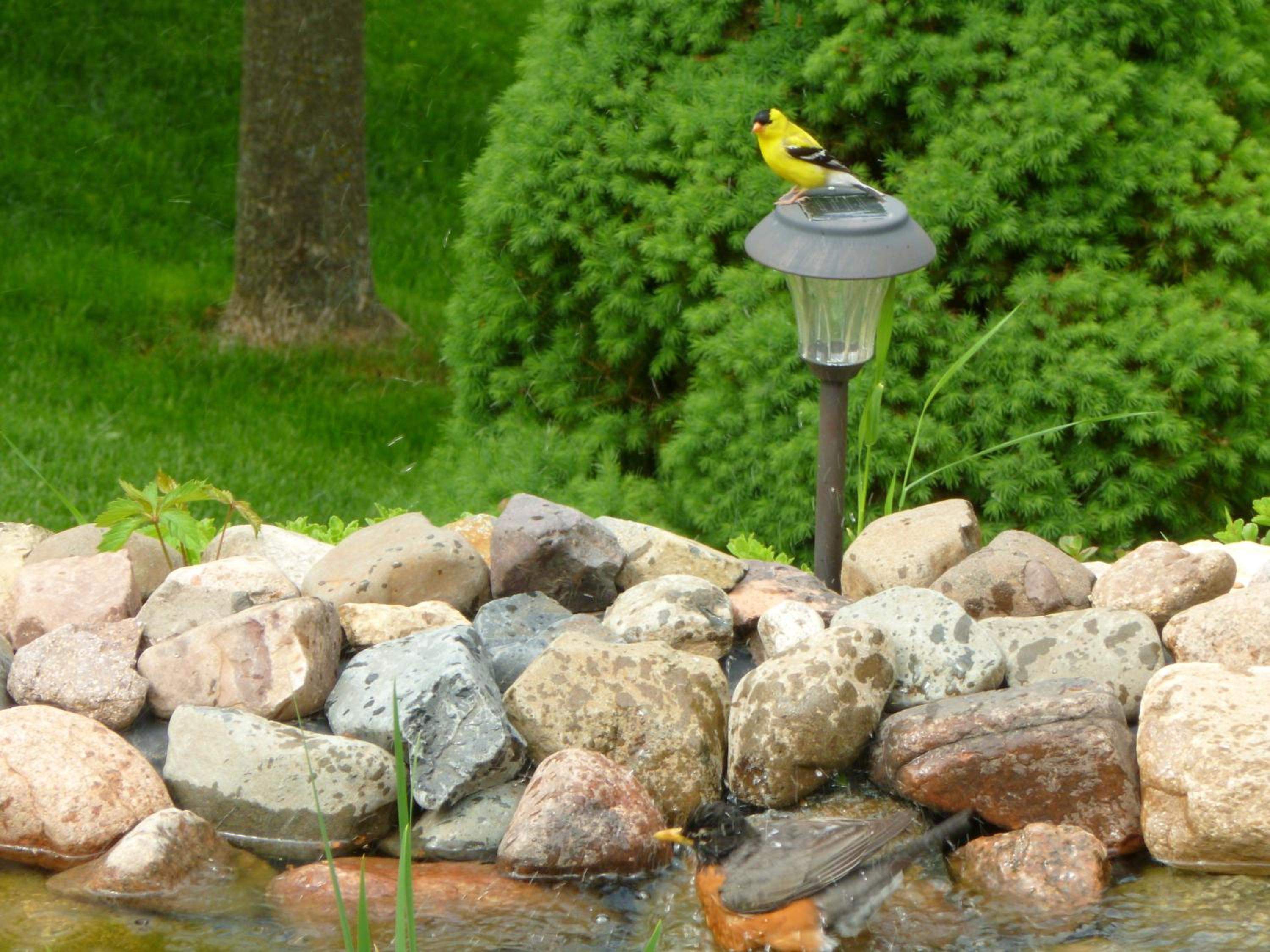 Trickling Waters Retreat