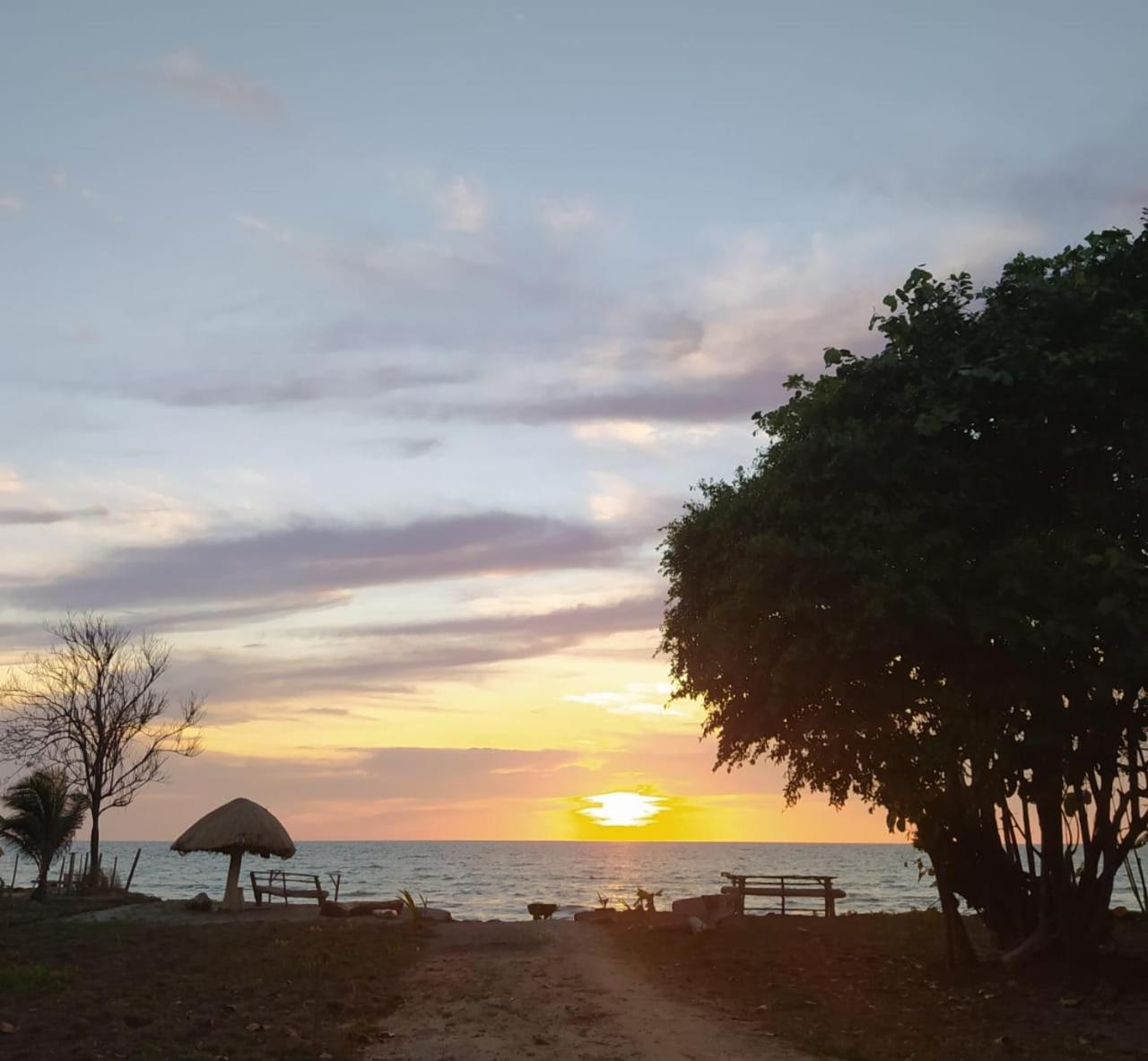 Bungalow Palmar del Viento by AMAUNA