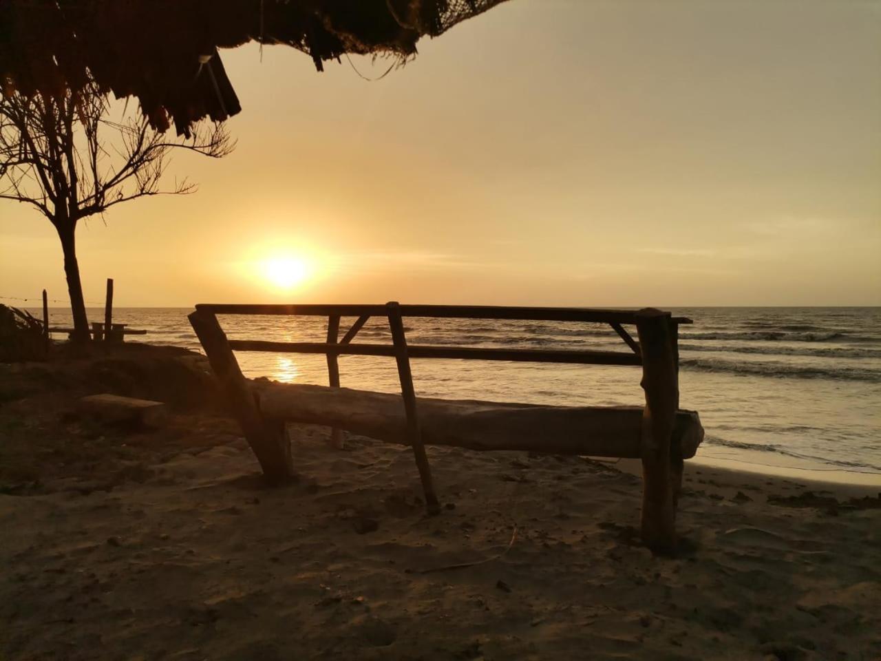 Bungalow Palmar del Viento by AMAUNA