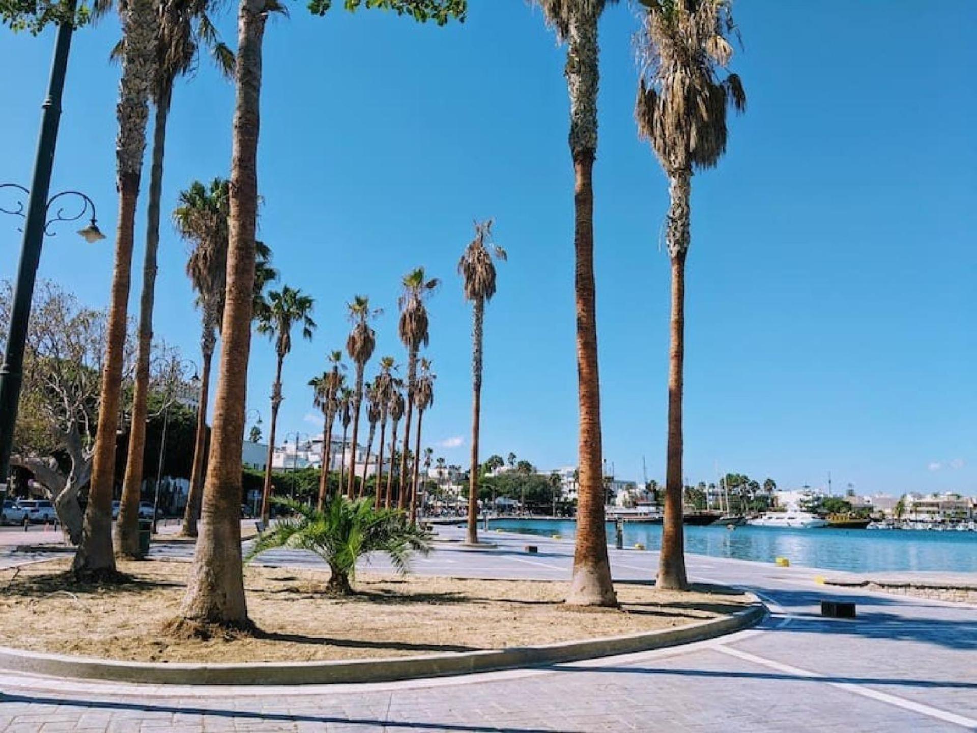 Zoes Apartment Kos Town photo 5