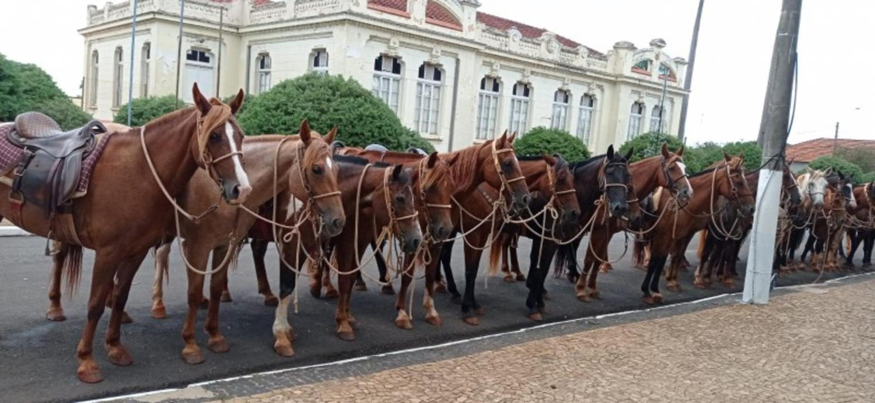 Hotel Fazenda Bela Vista