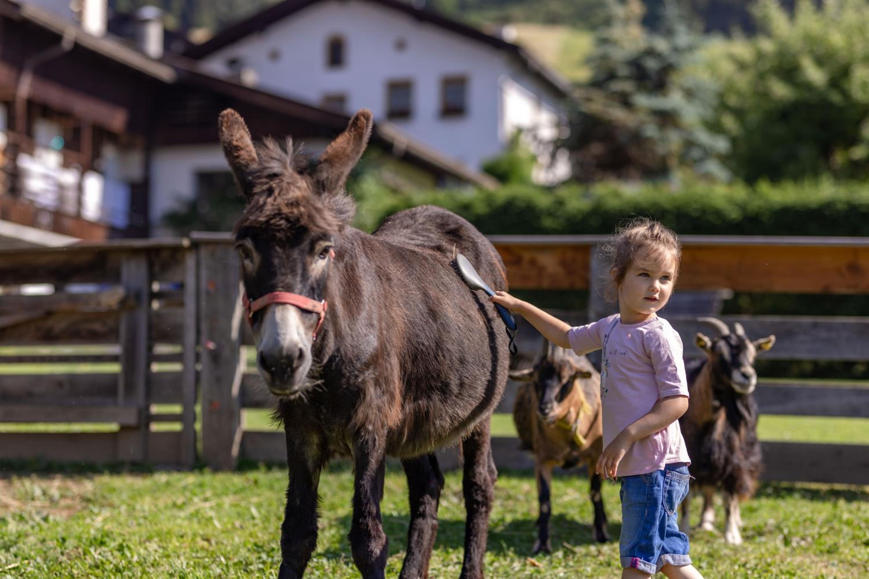 Erlebenswert Bauernhof Gruber