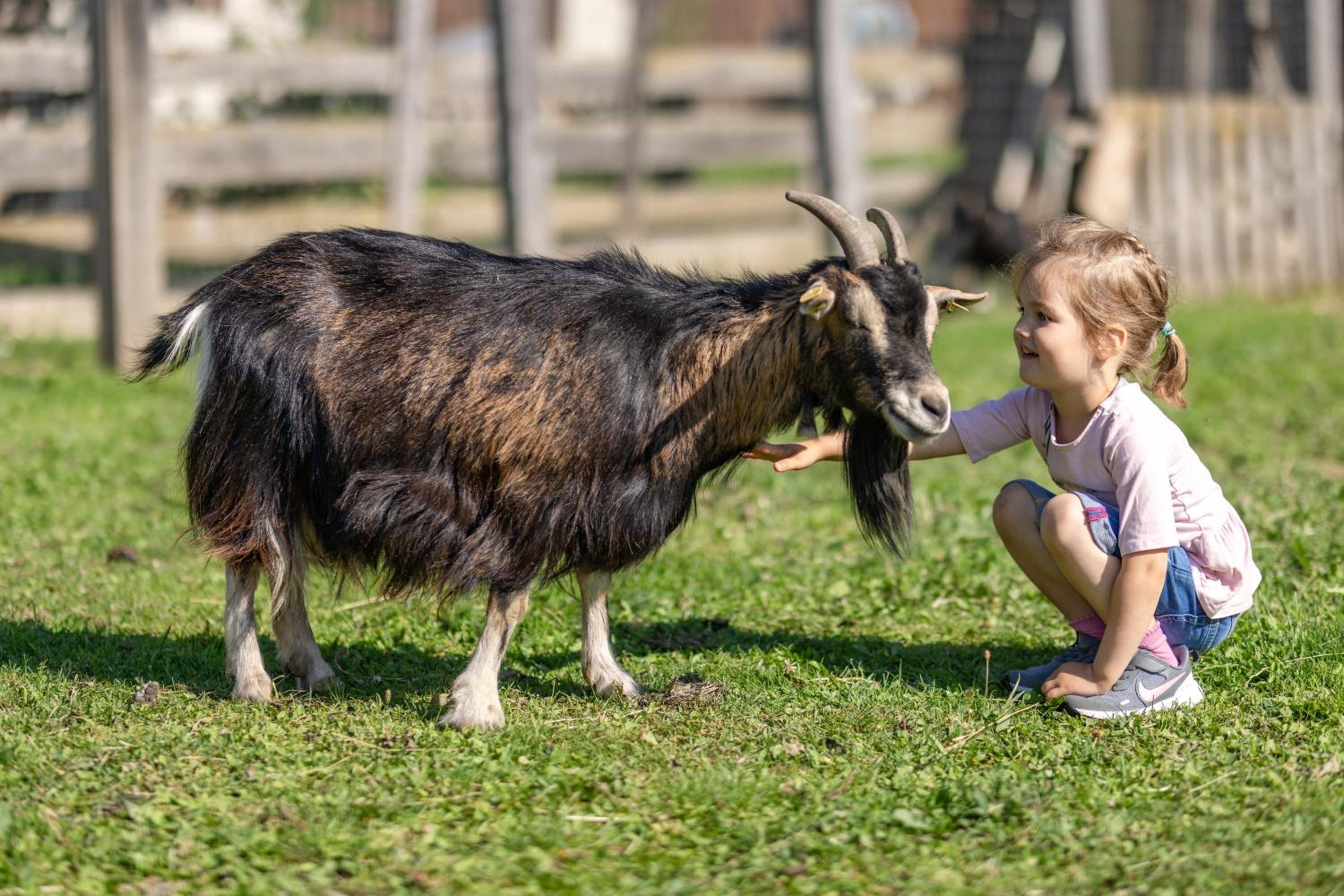 Erlebenswert Bauernhof Gruber