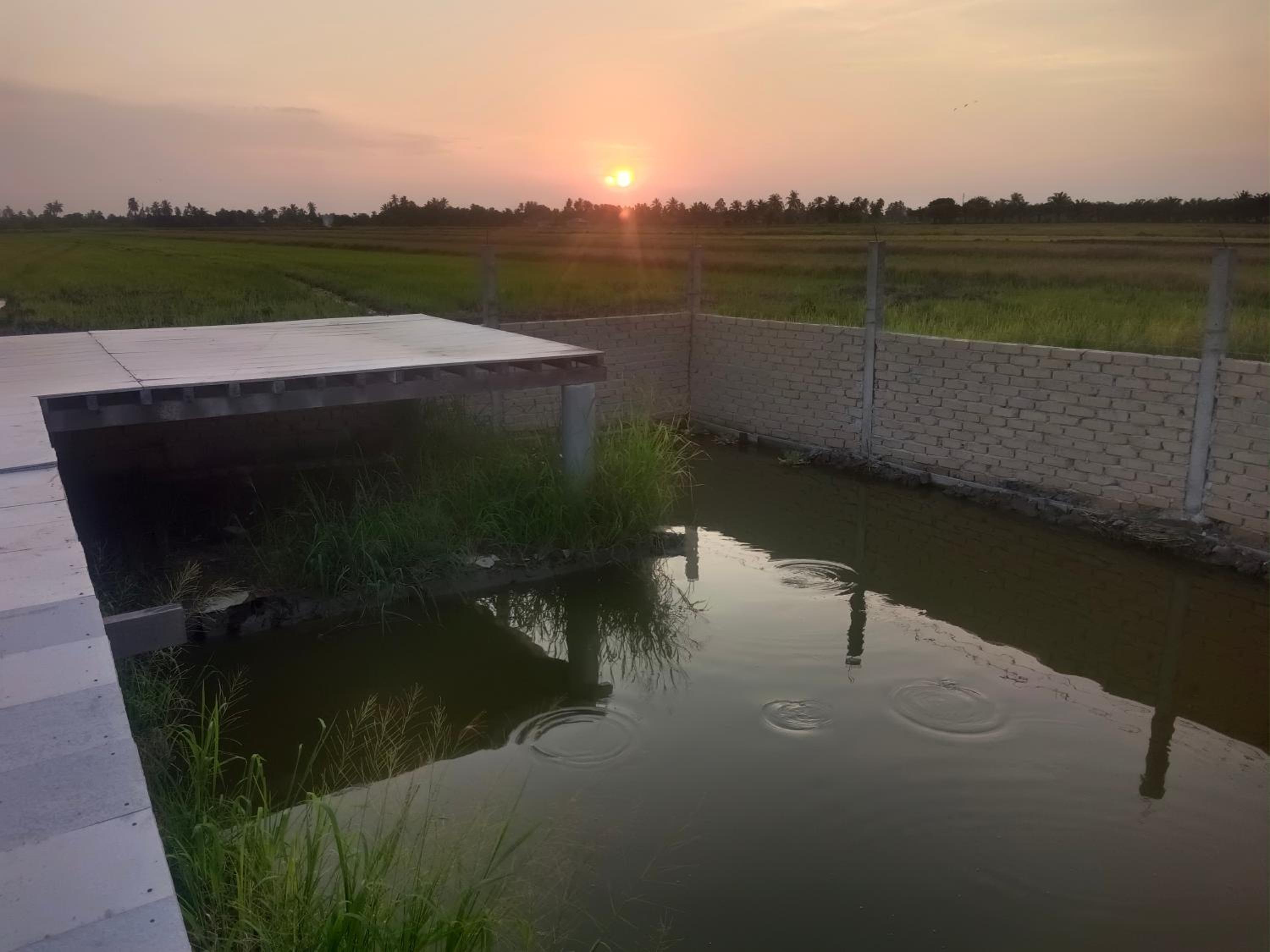 Kurau Inn Boutique Farmstay
