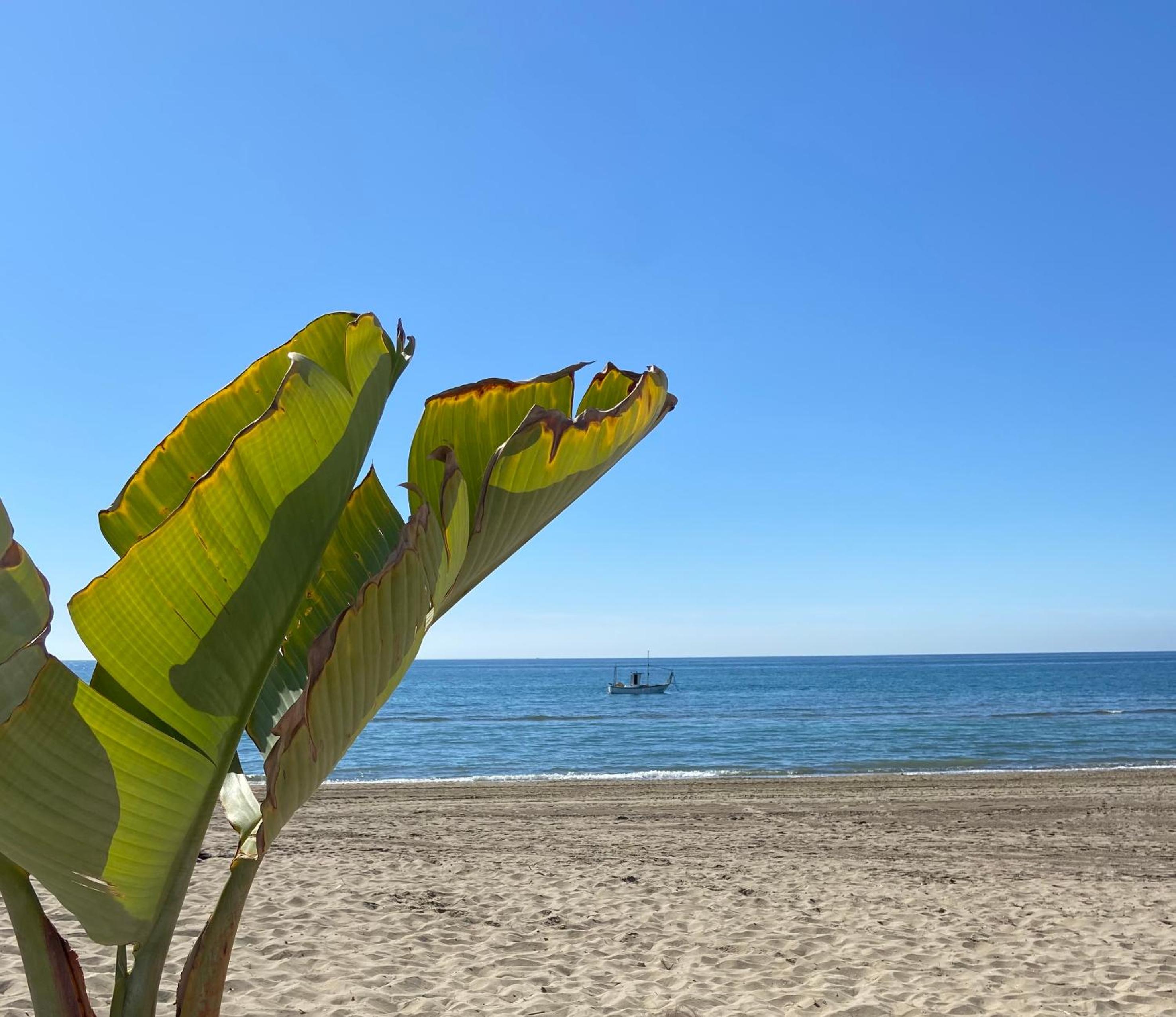 Jardines de las Golondrinas Marbella with Sea Views view 5