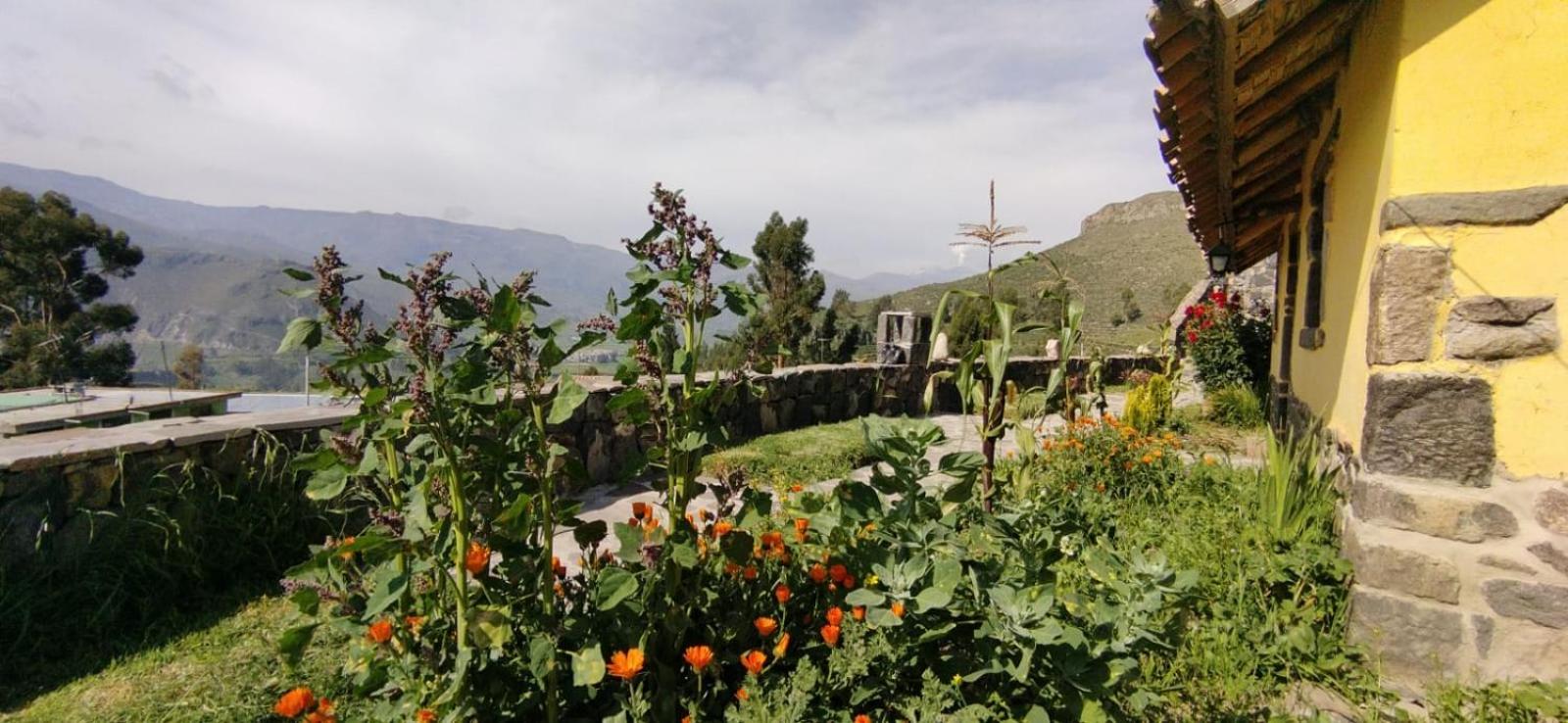Lodge Mirador San Antonio- Colca