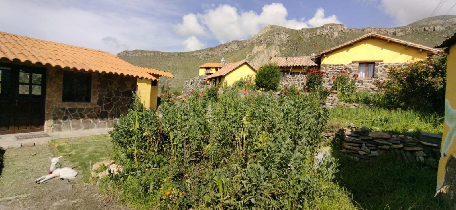 Lodge Mirador San Antonio- Colca