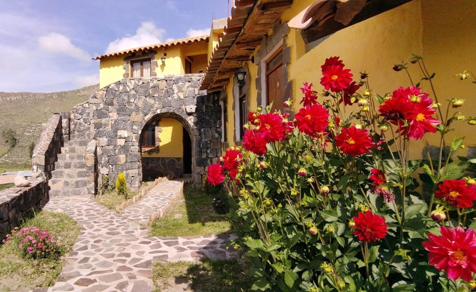 Lodge Mirador San Antonio- Colca