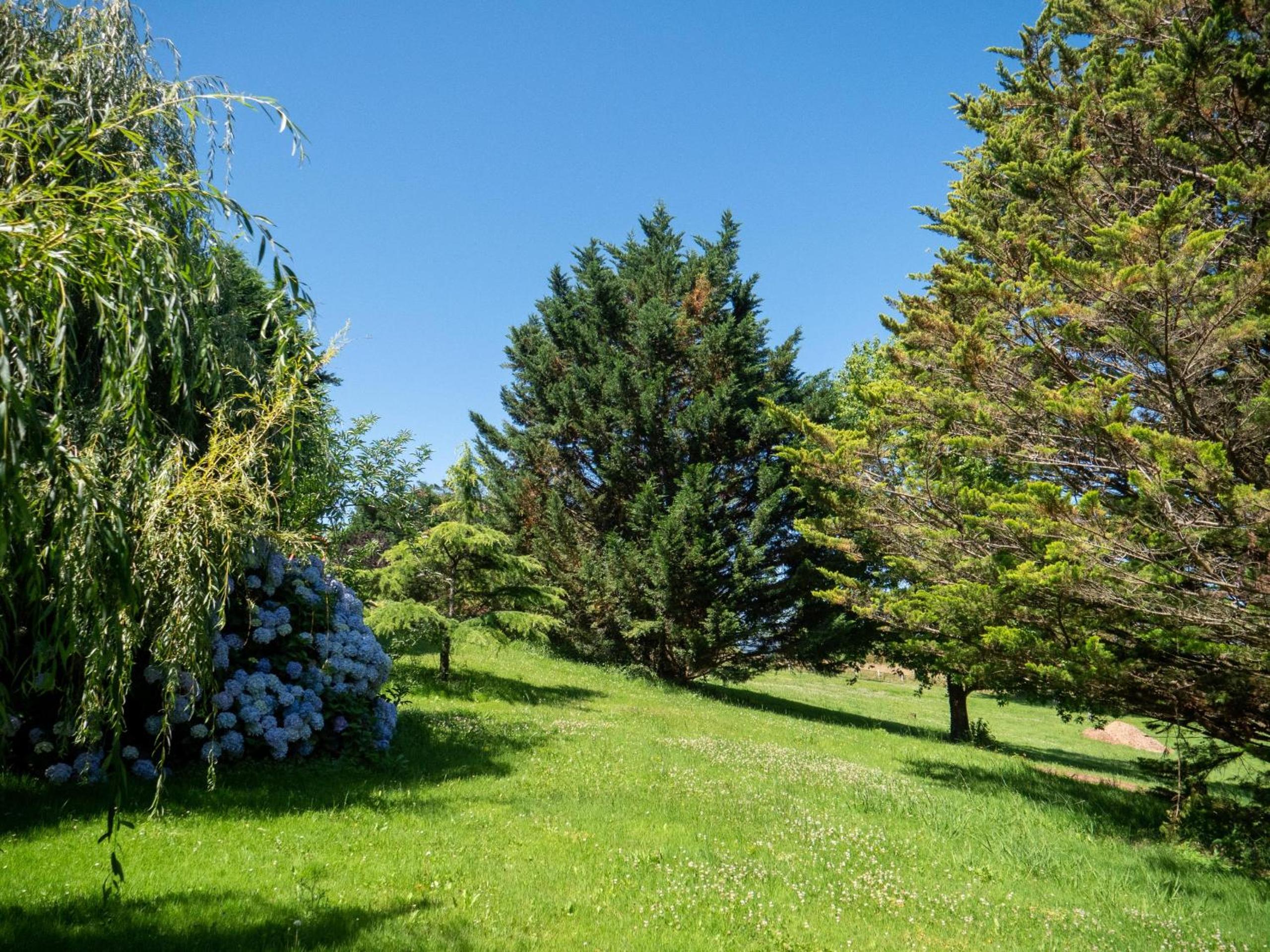 Photo 42