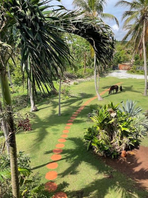 Villa Punta Coral