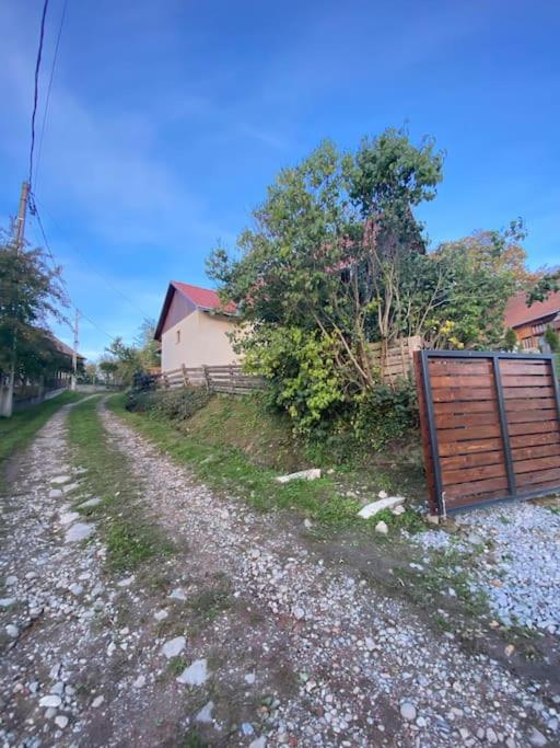 Aprócska kulcsosház - Guesthouse view 3