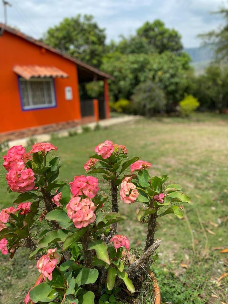Finca el Paraíso