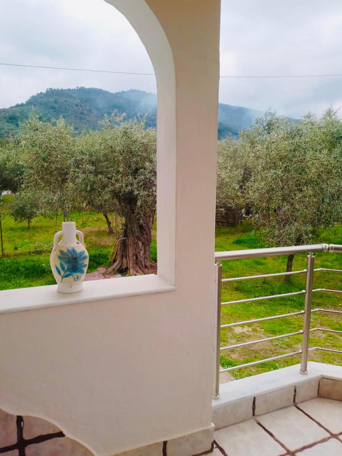 Villa Calypso