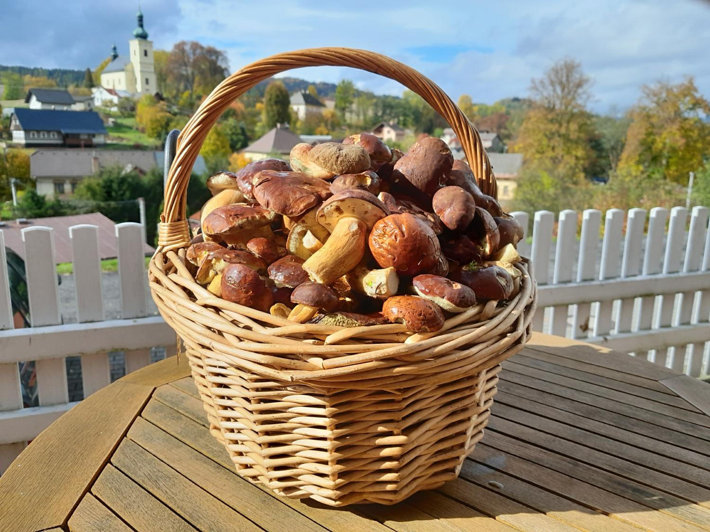 Pension Jana - Wellness