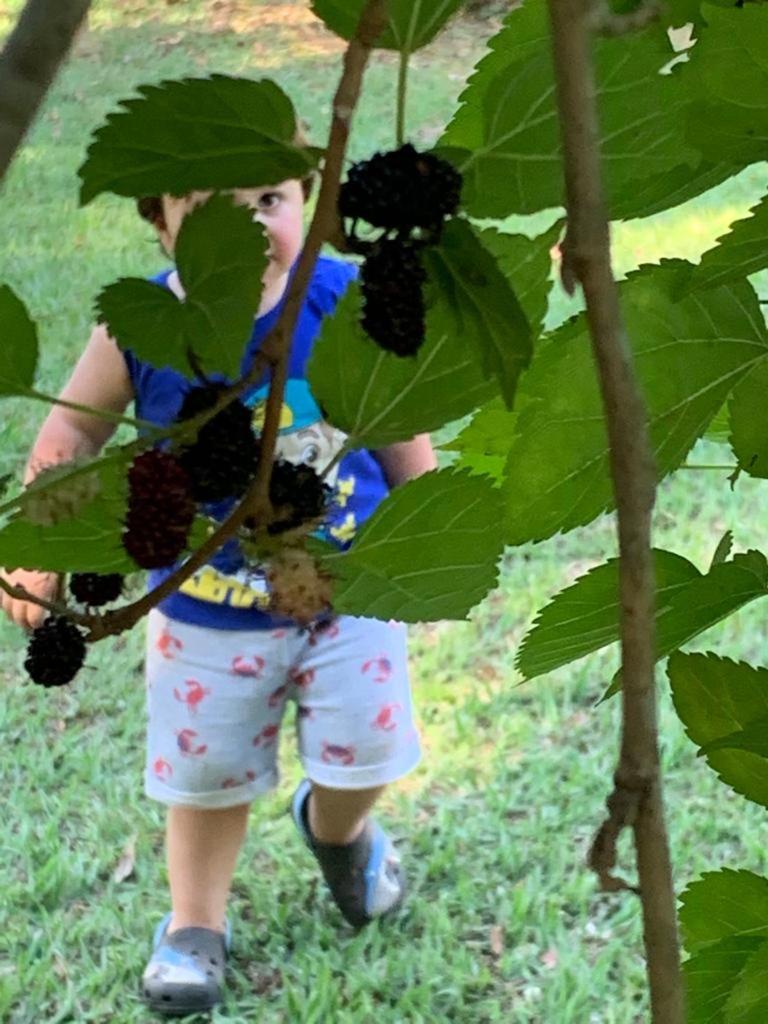 Espaço Sr Churras famílias são bem vindas Temos berço