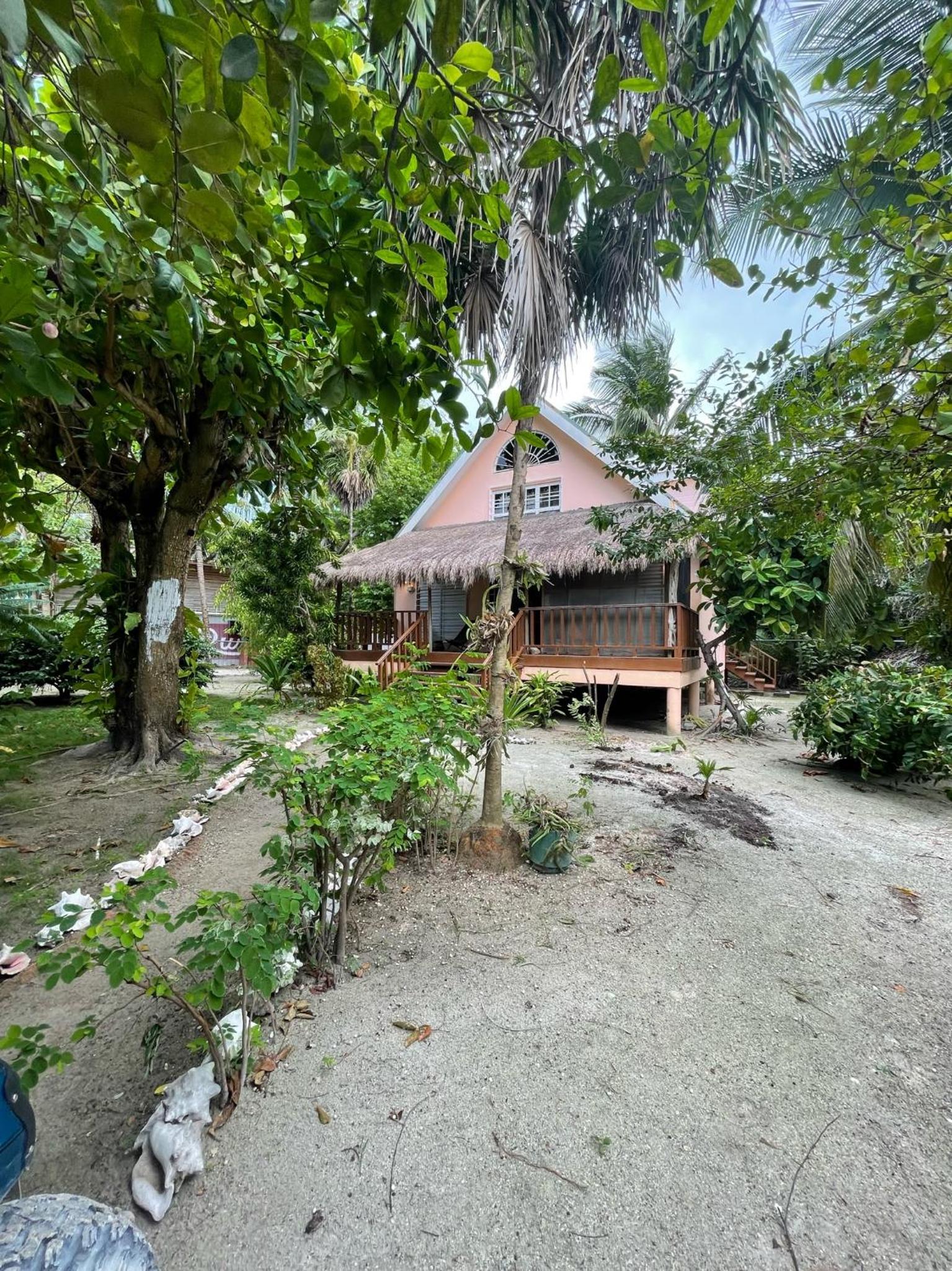 The Coral Casa