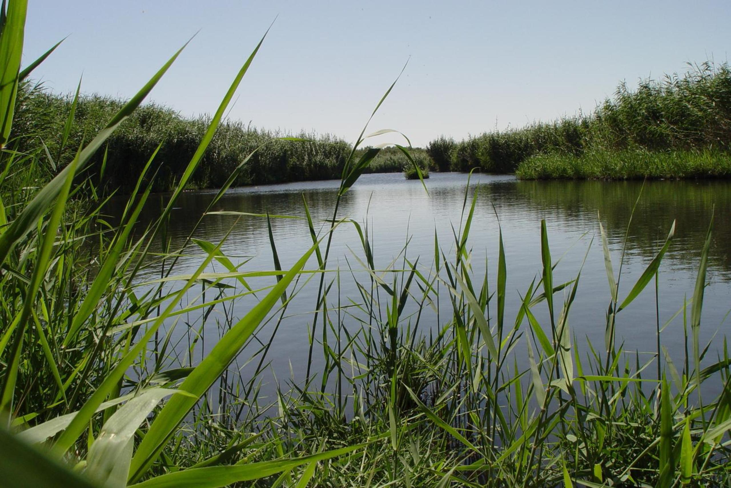 Azraq Lodge