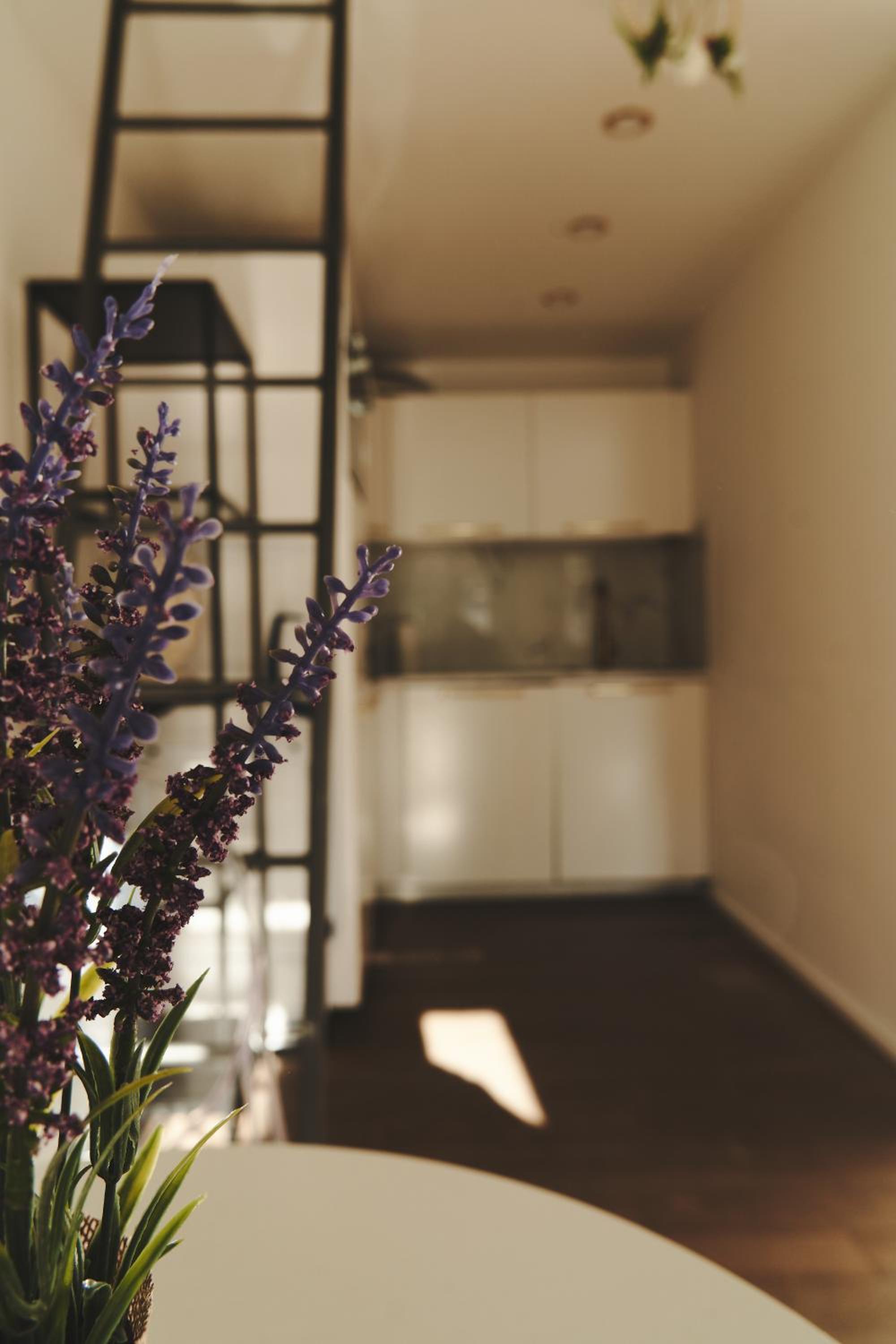Royal Opletalova Apartment Prague