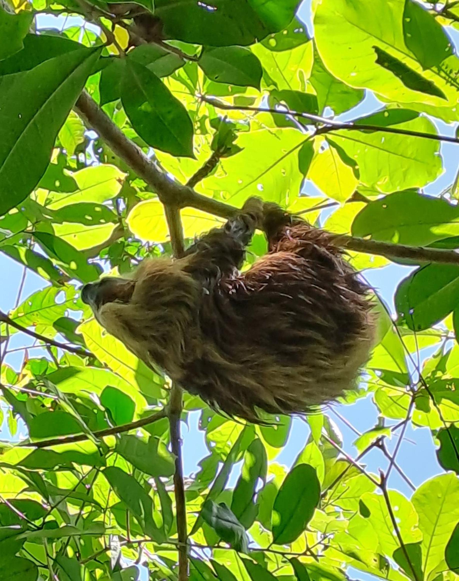 Terra NaturaMa - off grid living in the jungle