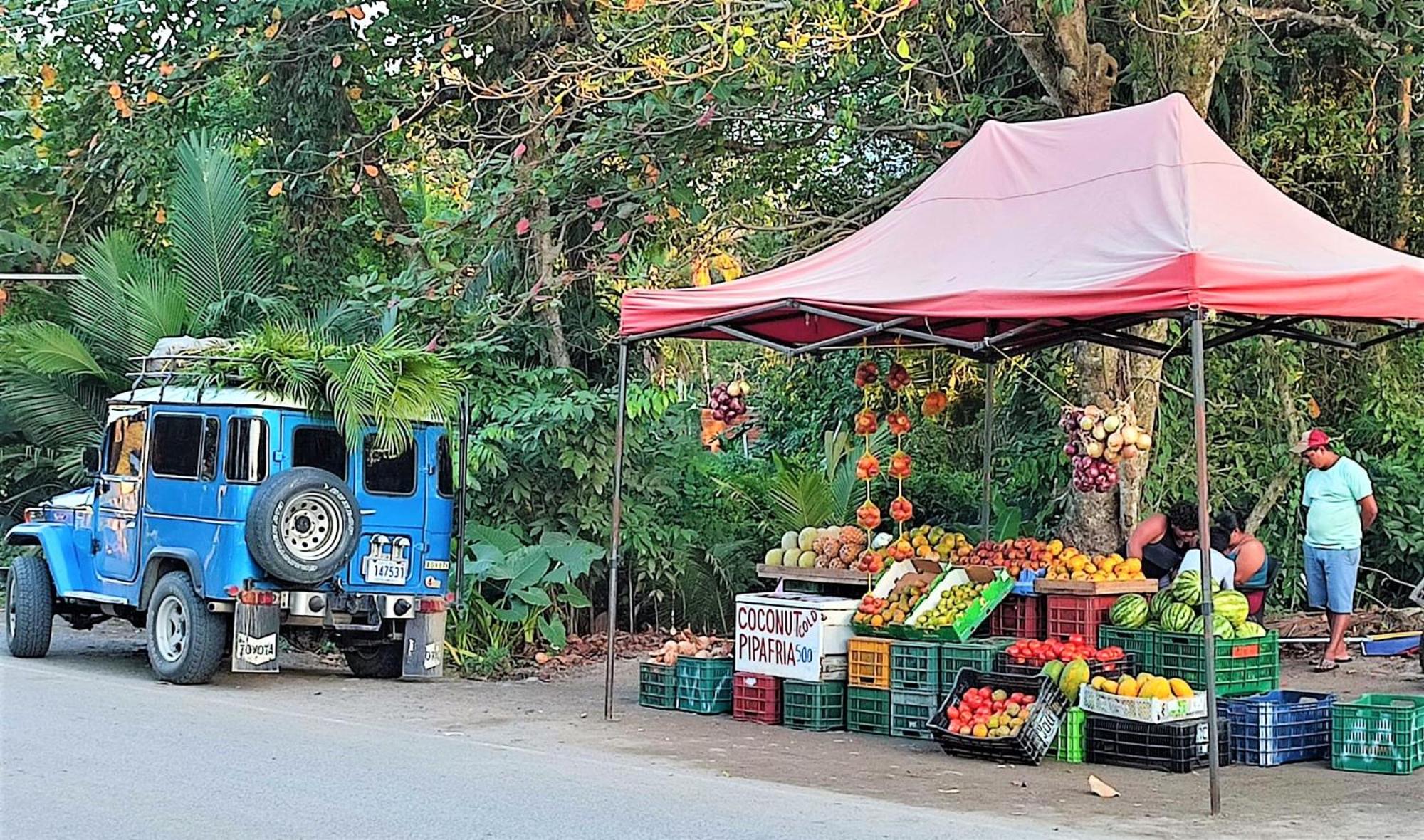 Terra NaturaMa - off grid living in the jungle