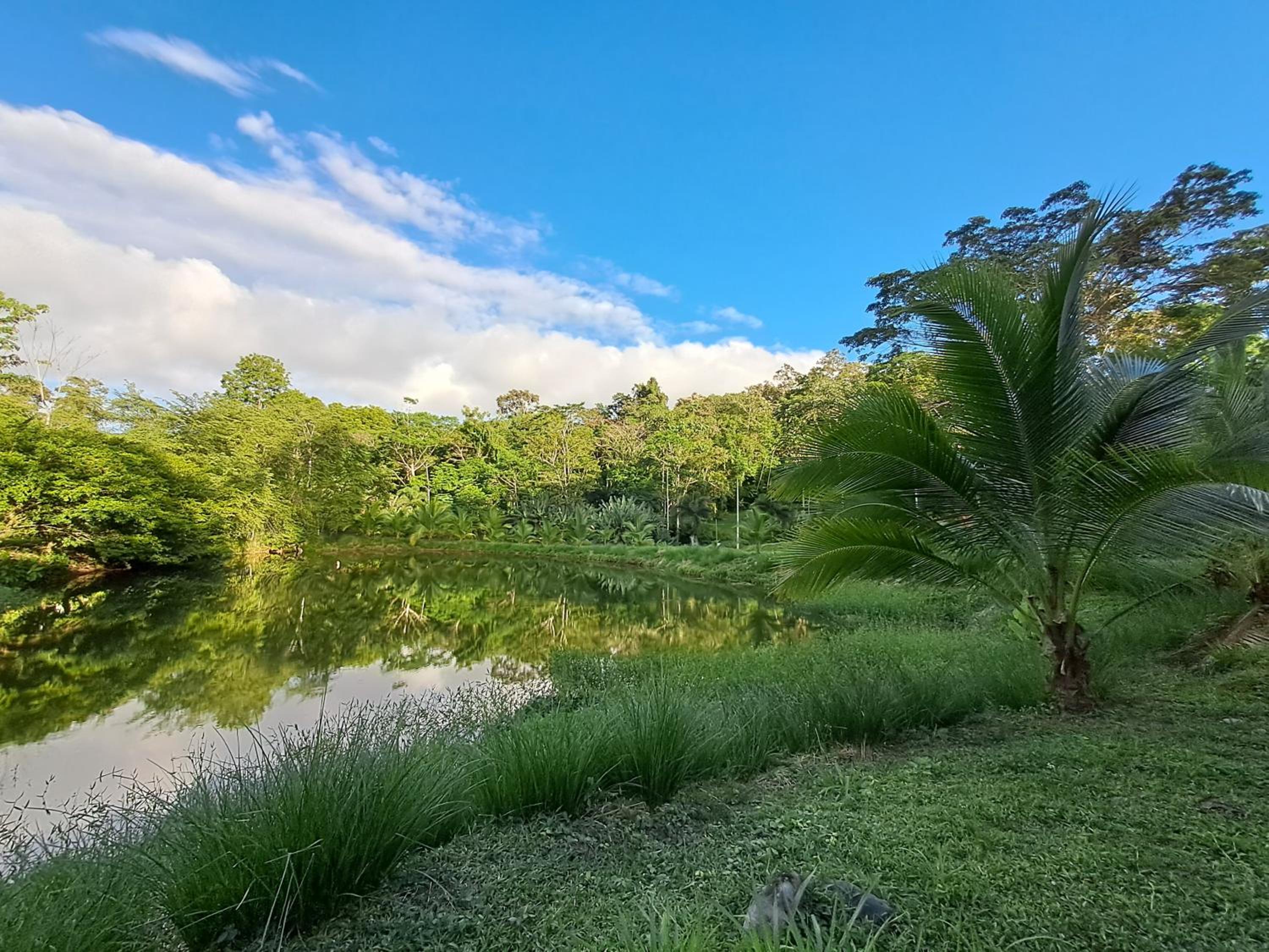 Terra NaturaMa - off grid living in the jungle