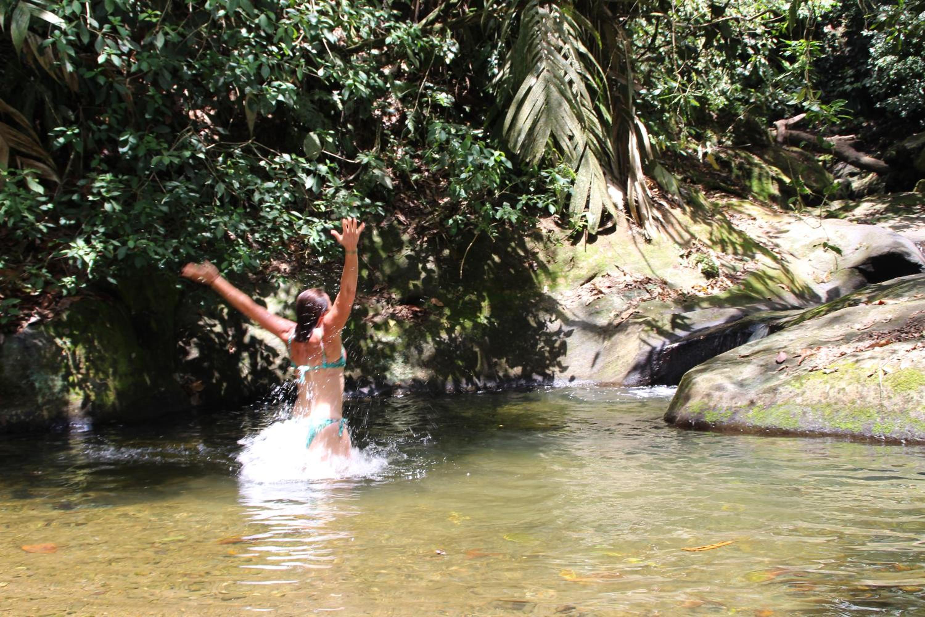 Terra NaturaMa - off grid living in the jungle