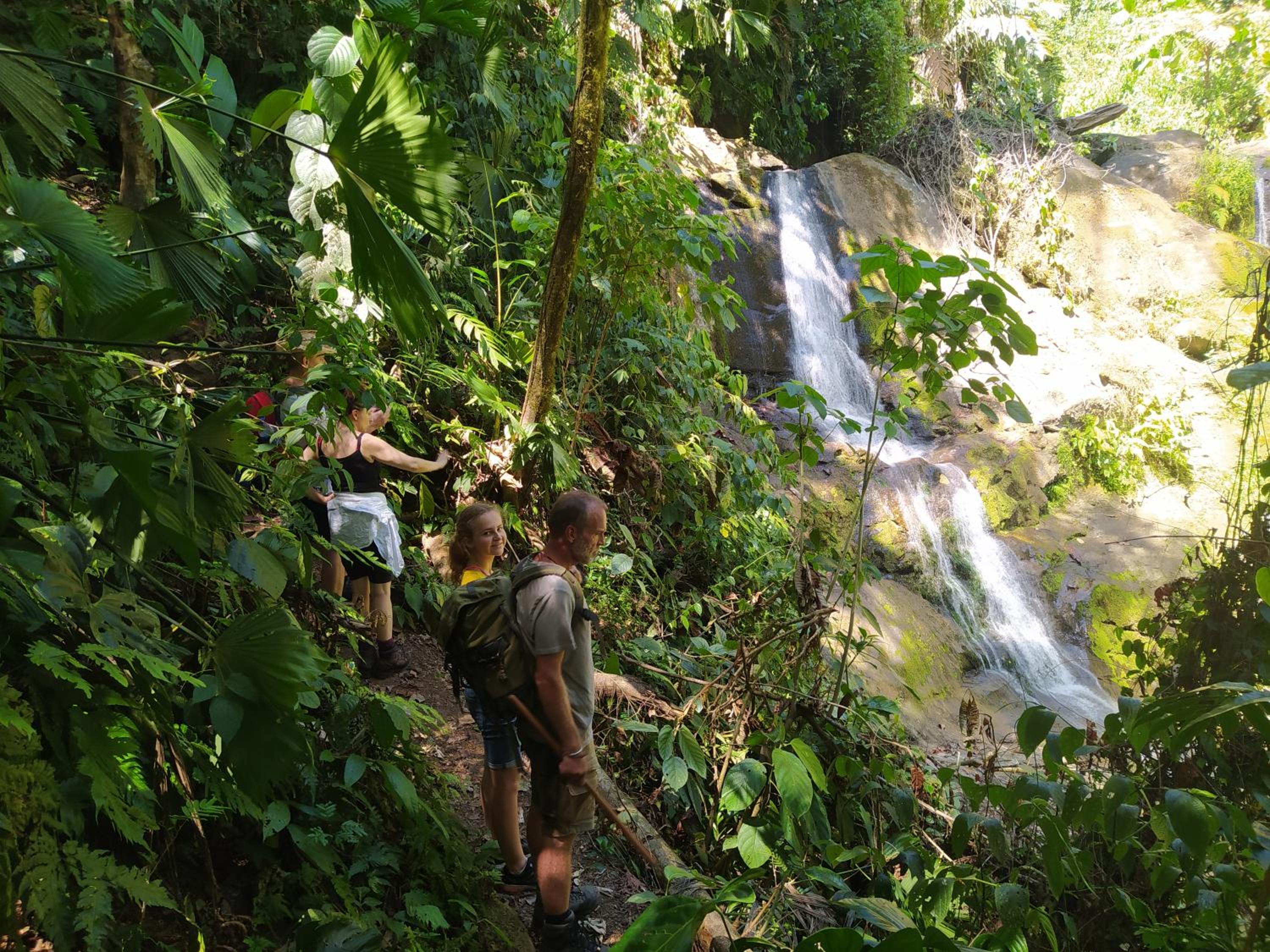 Terra NaturaMa - off grid living in the jungle