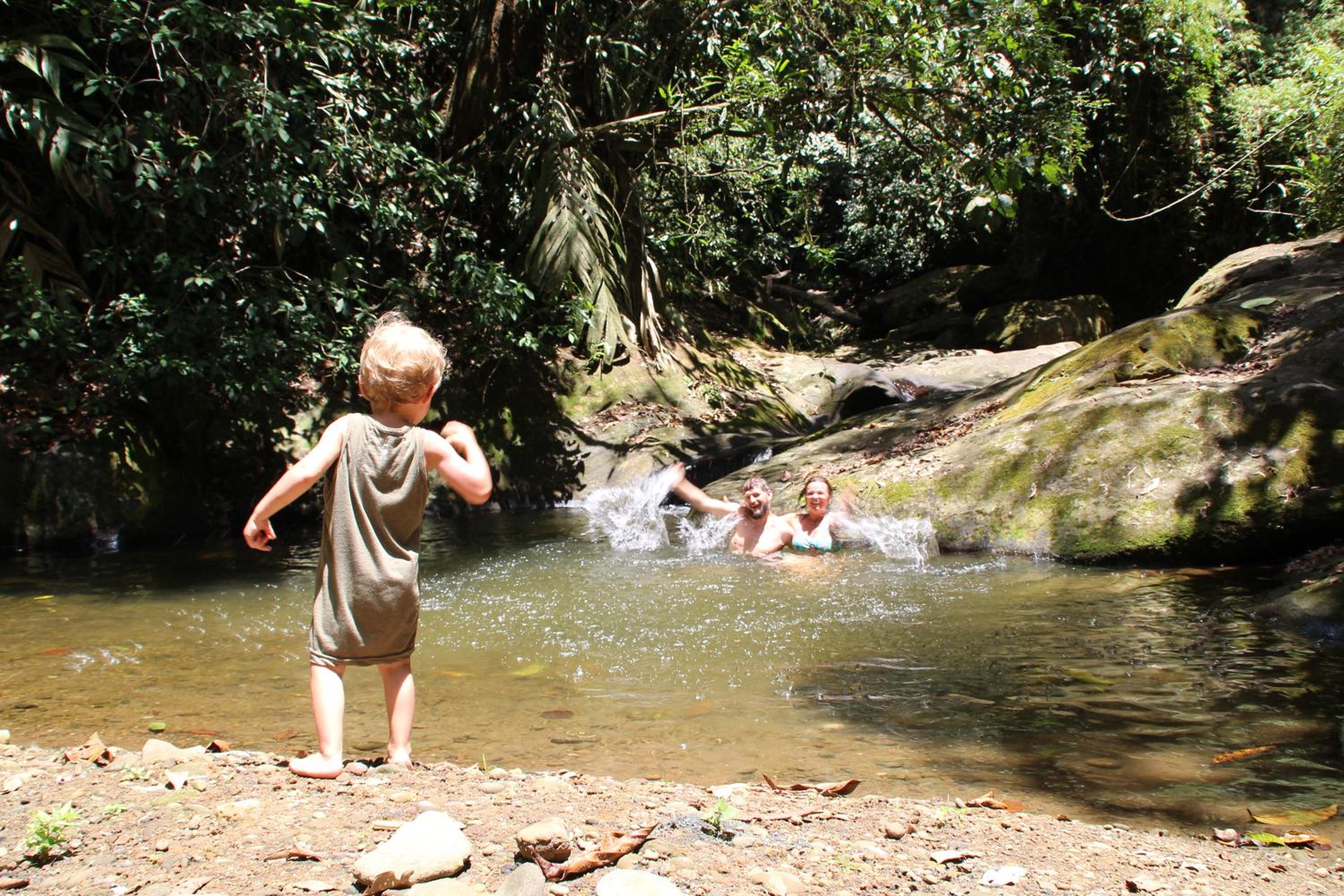 Terra NaturaMa - off grid living in the jungle