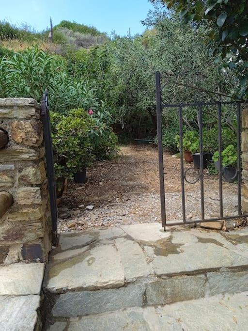 Villa Athina