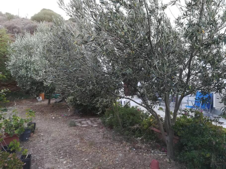 Villa Athina