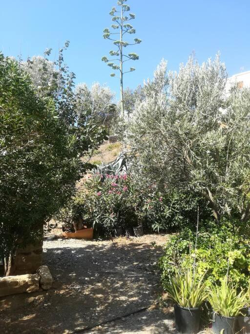 Villa Athina