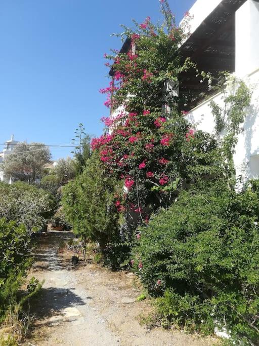Villa Athina