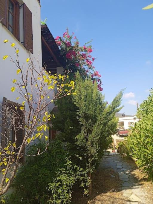 Villa Athina