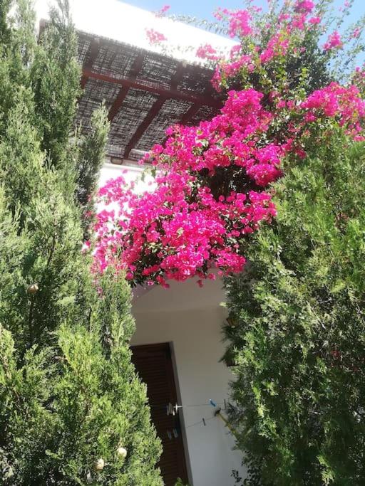 Villa Athina